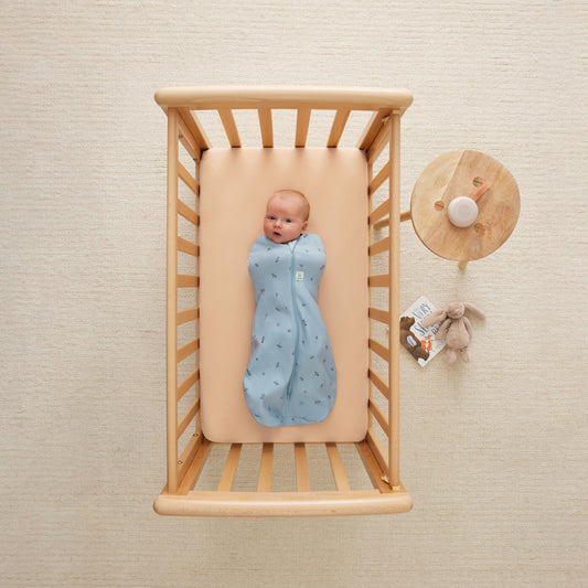 Jersey Sleeping Bag 1.0 Tog Dragonflies- 3-12 months