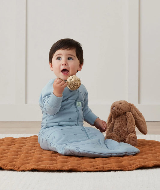 Jersey Sleeping Bag sleeved, 2.5 tog, Dragonflies, 8-24 months
