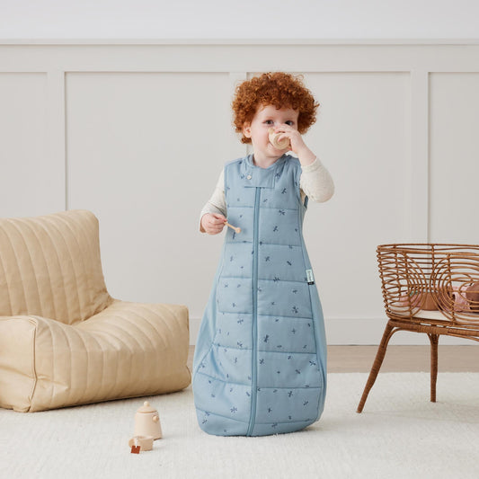 Sheeting Sleeping Bag - 1 Tog Dragonflies- 2-4 years