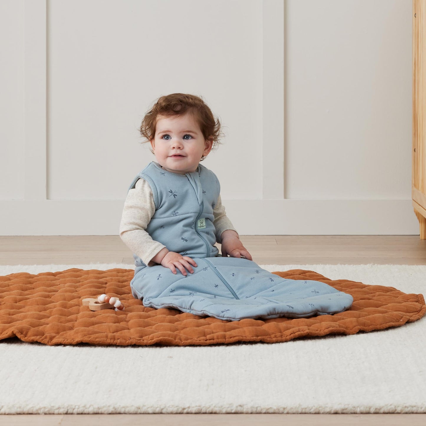 Jersey Sleeping Bag, 2.5 tog, Dragonflies, 8-24 months