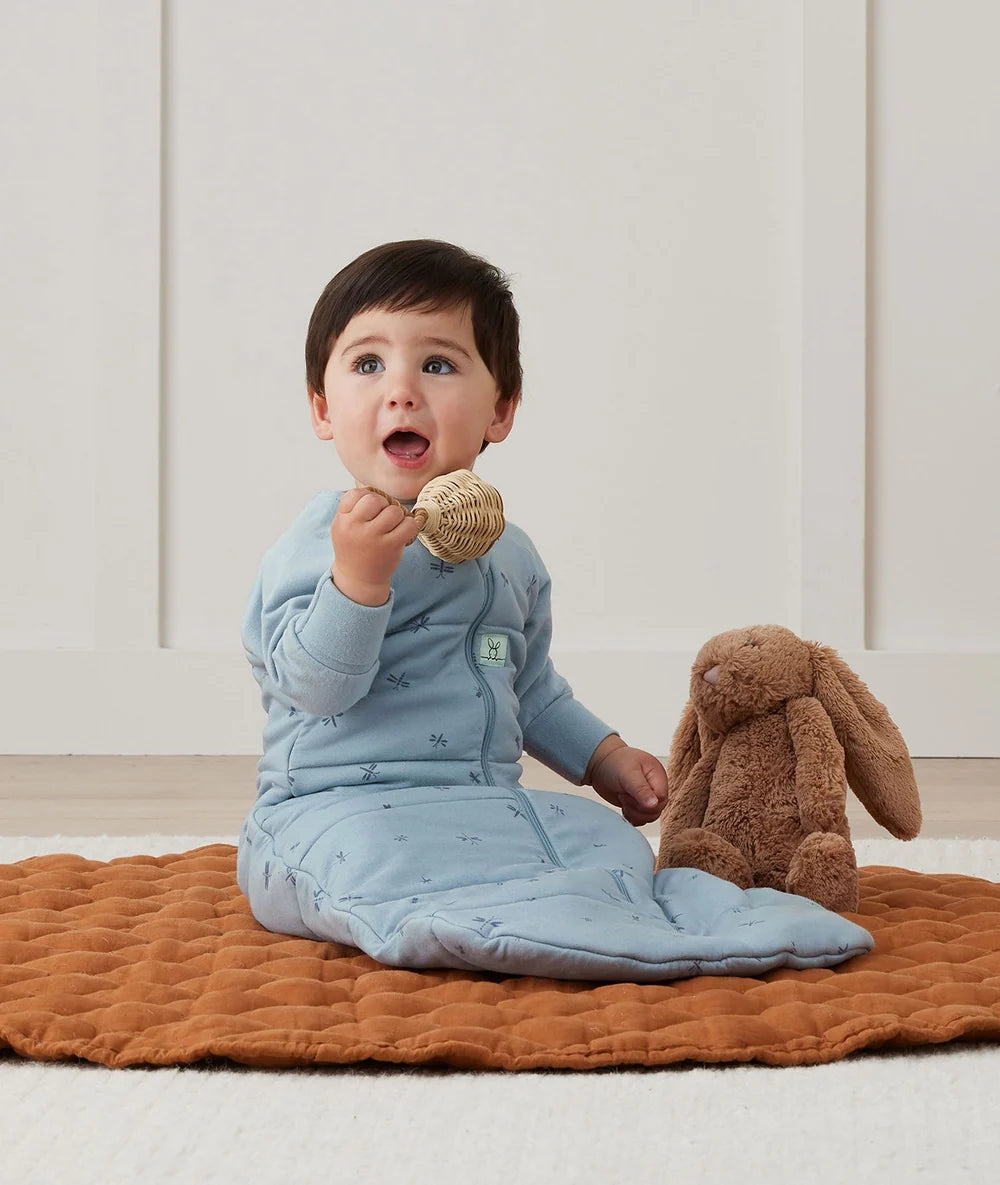 Jersey Sleeping Bag sleeved, 2.5 tog, Dragonflies, 8-24 months