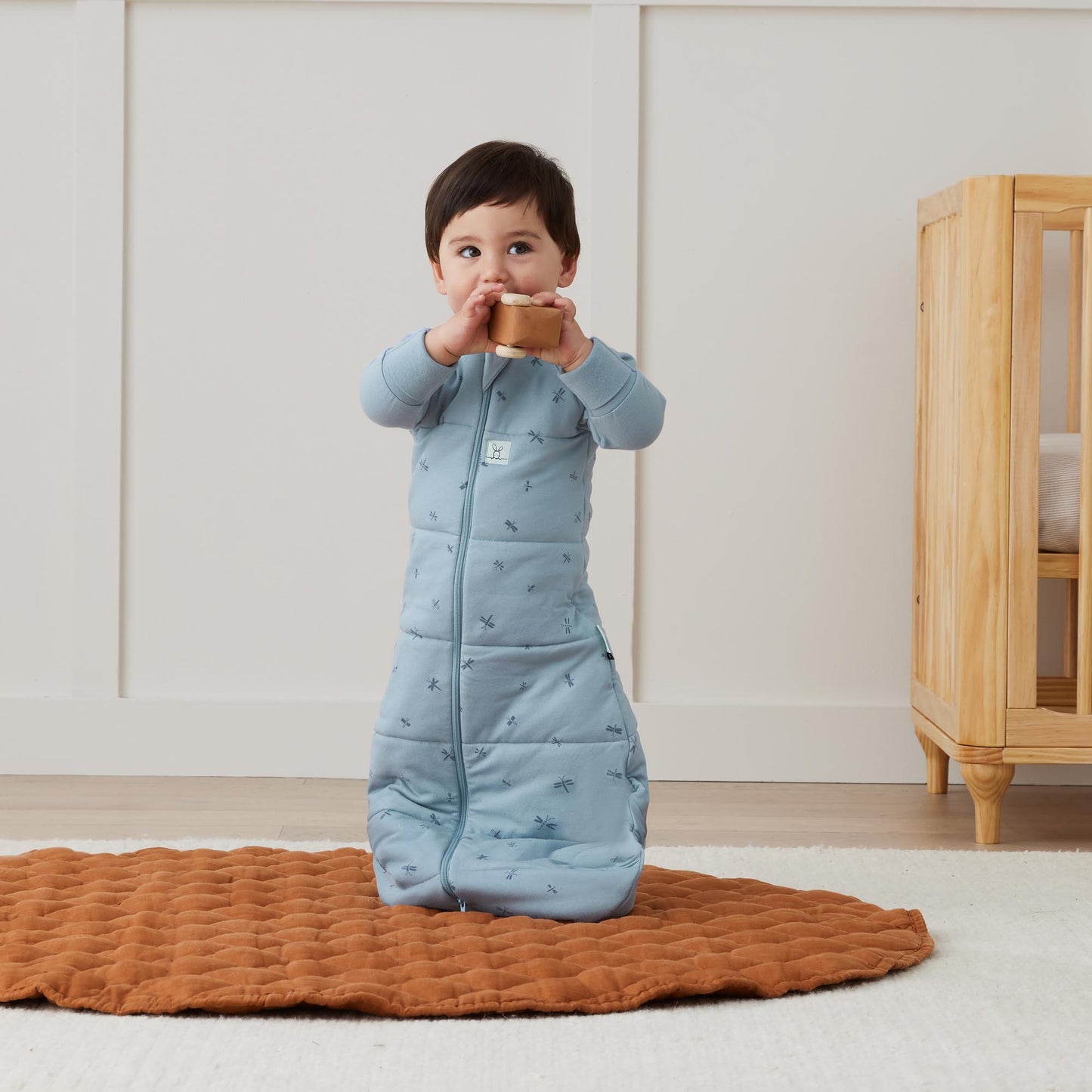 Jersey Sleeping Bag long sleeved, 2.5 tog, Dragonflies, 3-12 months