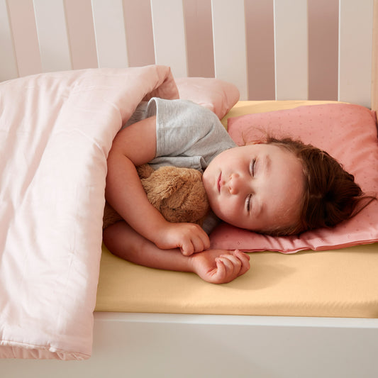 Organic Toddler Pillow and Case- Berries